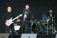 Vijverpark festival 2015