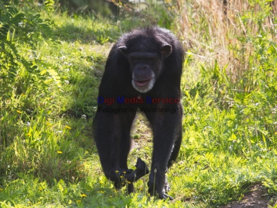 Dierenrijk / Eindhoven Zoo